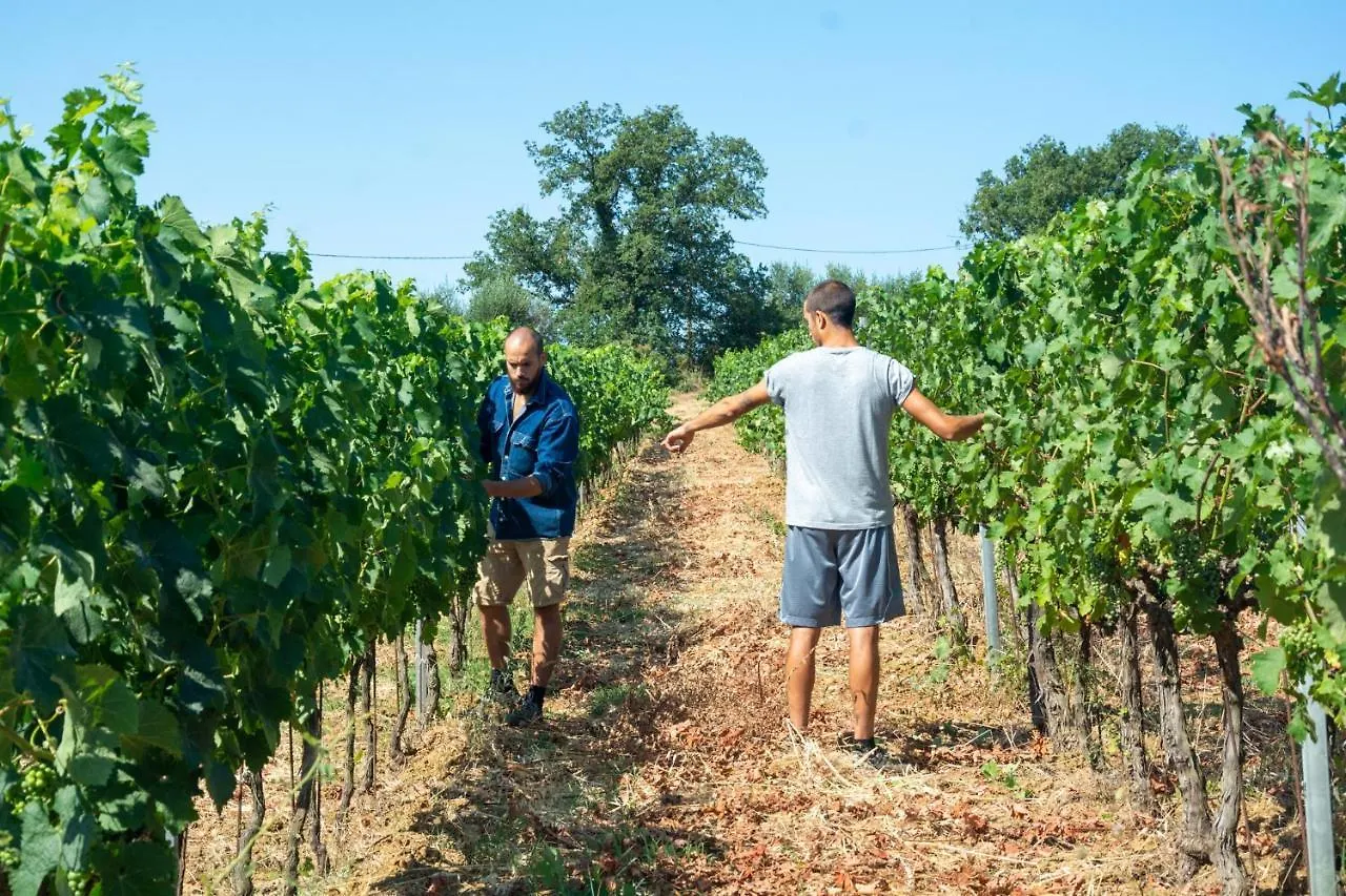Agriturismo Colle Vento 0*, Suvereto