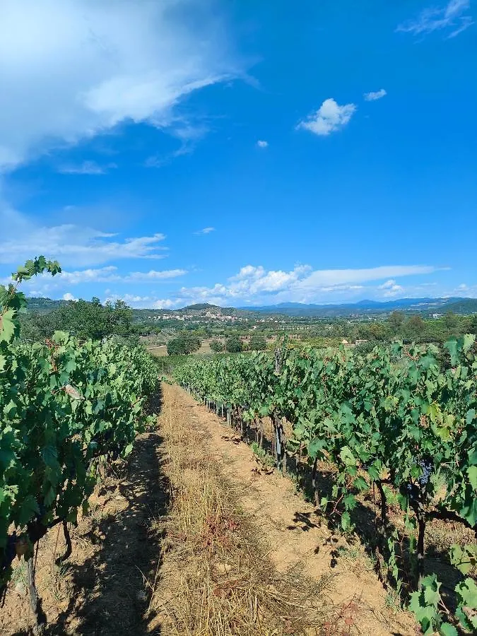 Farm stay Agriturismo Colle Vento Italy
