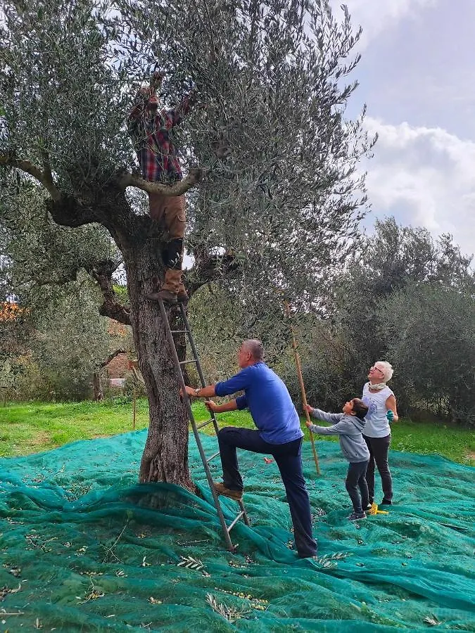 Agriturismo Colle Vento Suvereto