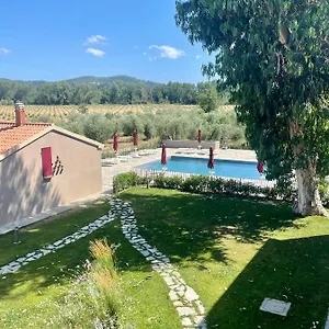 Terravita Winery & Boutique Suvereto