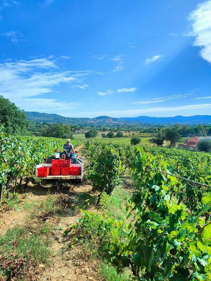 Agriturismo Colle Vento Farm stay Suvereto